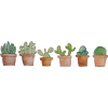 Painted Cactuses - Rastline - 