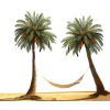 Palm tree - Rośliny - 