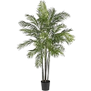 Palm Tree - Rośliny - 