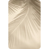 Palm - Ilustracje - 