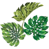 Palm leaf vector - Plantas - 