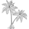 Palm tree illustration 123rf - 插图 - 
