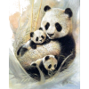 Panda - Otros - 