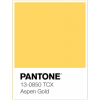 Pantone 13-0850 Aspen Gold - Uncategorized - 