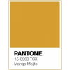 Pantone 15-0960 Mango Mojito - Uncategorized - 