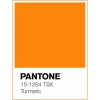 Pantone 15-1264 Turmeric - Uncategorized - 
