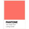 Pantone 16-1546 Living Coral - Uncategorized - 