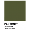 Pantone 18-0416 Terrarium Moss - Uncategorized - 
