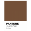 Pantone 18-1031 Toffee - Uncategorized - 