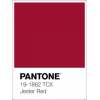 Pantone 19-1862 Jester Red - Uncategorized - 