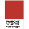 Pantone Color Fall Winter 2018 - イラスト - 