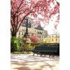 Paris in Spring - Sfondo - 
