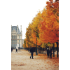 Paris autumn photo - Uncategorized - 
