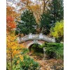 Parc Monceau in autumn Paris - Priroda - 