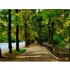 Park in Ivano-Frankivsk. Ukraine - Nature - 
