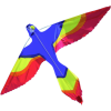 Parrot Kite - Animais - 