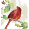 Parrot  Bird - Ilustrationen - 