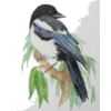 Parrot  Bird - Rascunhos - 