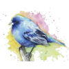 Parrot  Bird - Ilustracije - 
