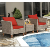 Patio Chair and Table - Furniture - 