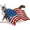 Patriotic Cat - Animals - 