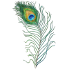 Peacock Feather Digital Clipart Vector - イラスト - 