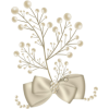 Pearl bow plant - Piante - 