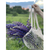 People - Ljudi (osobe) - 
