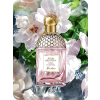 Perfume Art - Objectos - 