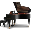 Piano - Predmeti - 
