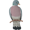 Pigeon - Illustrations - 
