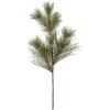 Pine - Pflanzen - 