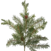 Pine - Biljke - 