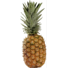Pineapple - Obst - 