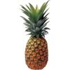 Pineapple - Frutas - 