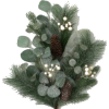 Pine stem - 植物 - 