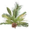 Pine stem - Plants - 