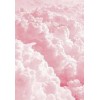 Pink Clouds - Uncategorized - 