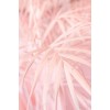 Pink Background - Tła - 