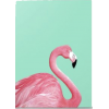 Pink Flamingo - イラスト - 