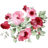 Pink Flower - Ilustracje - 
