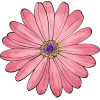 Pink Flower - Rastline - 