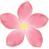 Pink Flower - 植物 - 