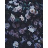 Pink Flowers - Tła - 