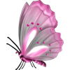 Pink and Gray Butterfly - Uncategorized - 