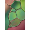 Pink and Green Stained Glass. - Other - 