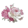 Pink flowers1 - Uncategorized - 