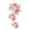 Pink flowers - イラスト - 
