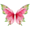 Pink green fairy wings - 饰品 - 