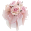 Pink rose, ribbon - Uncategorized - 
